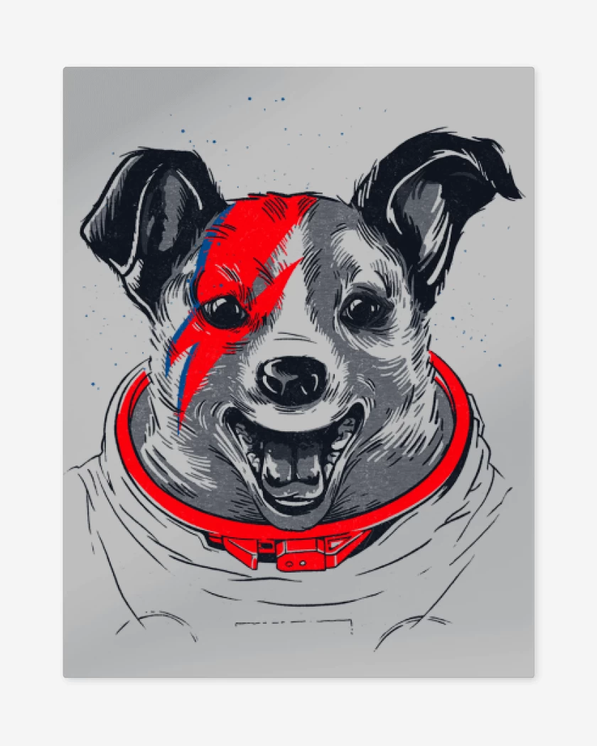Print metalico Gris Melange de Laika stardust