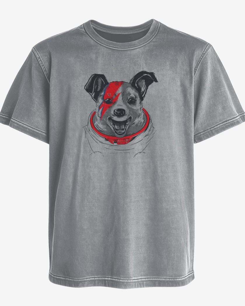 Polera desgastada Gris Melange de Laika stardust