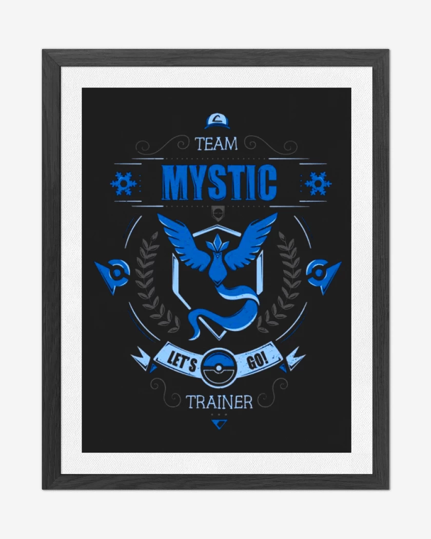 Cuadro decorativo Team mystic