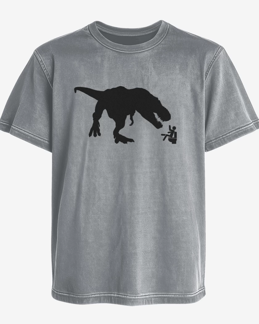 Polera desgastada Gris Melange de Rex 2 