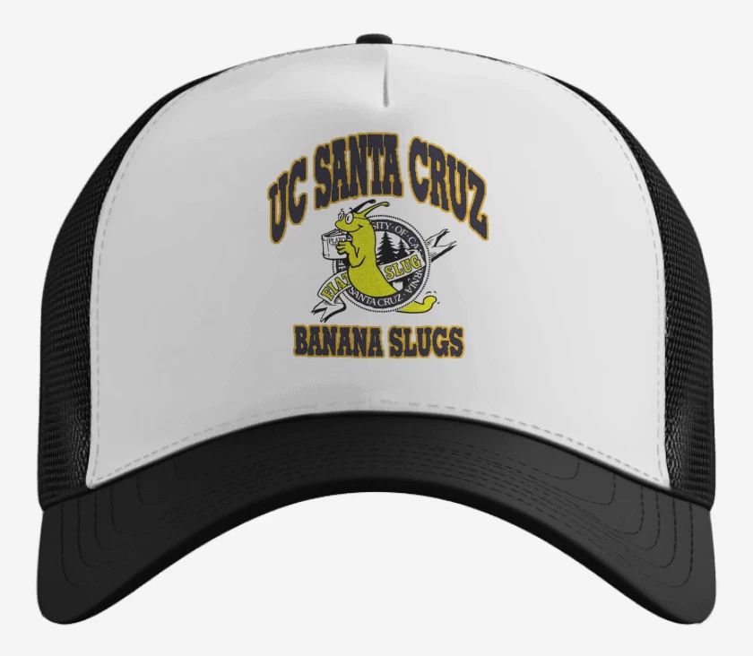 Gorro UC SANTA CRUZ 