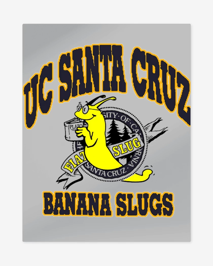 Print metalico Gris Melange de UC SANTA CRUZ 