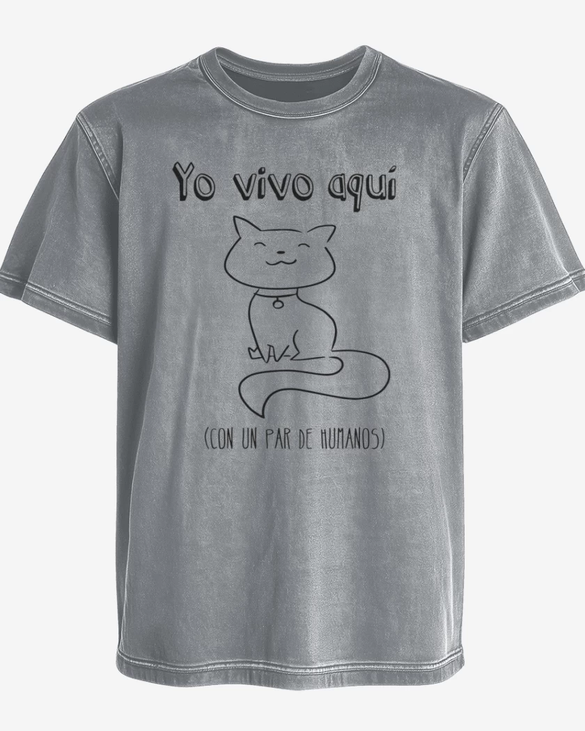 Polera desgastada Gris Melange de Yo vivo aqui