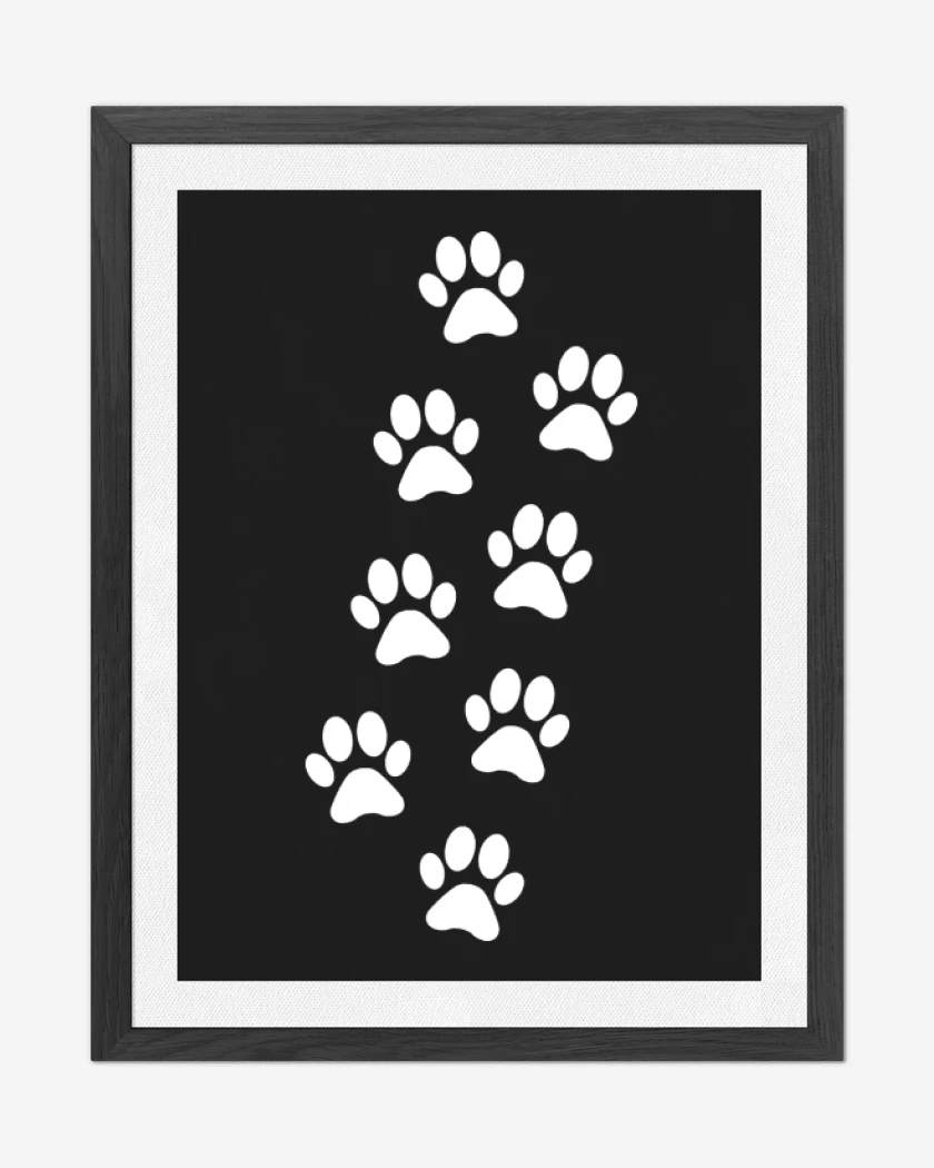 Cuadro decorativo Patitas