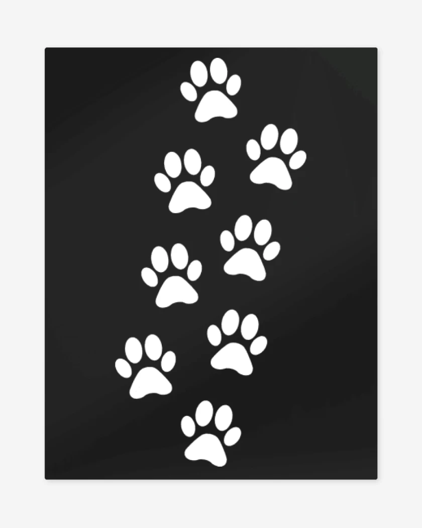 Print metalico Patitas