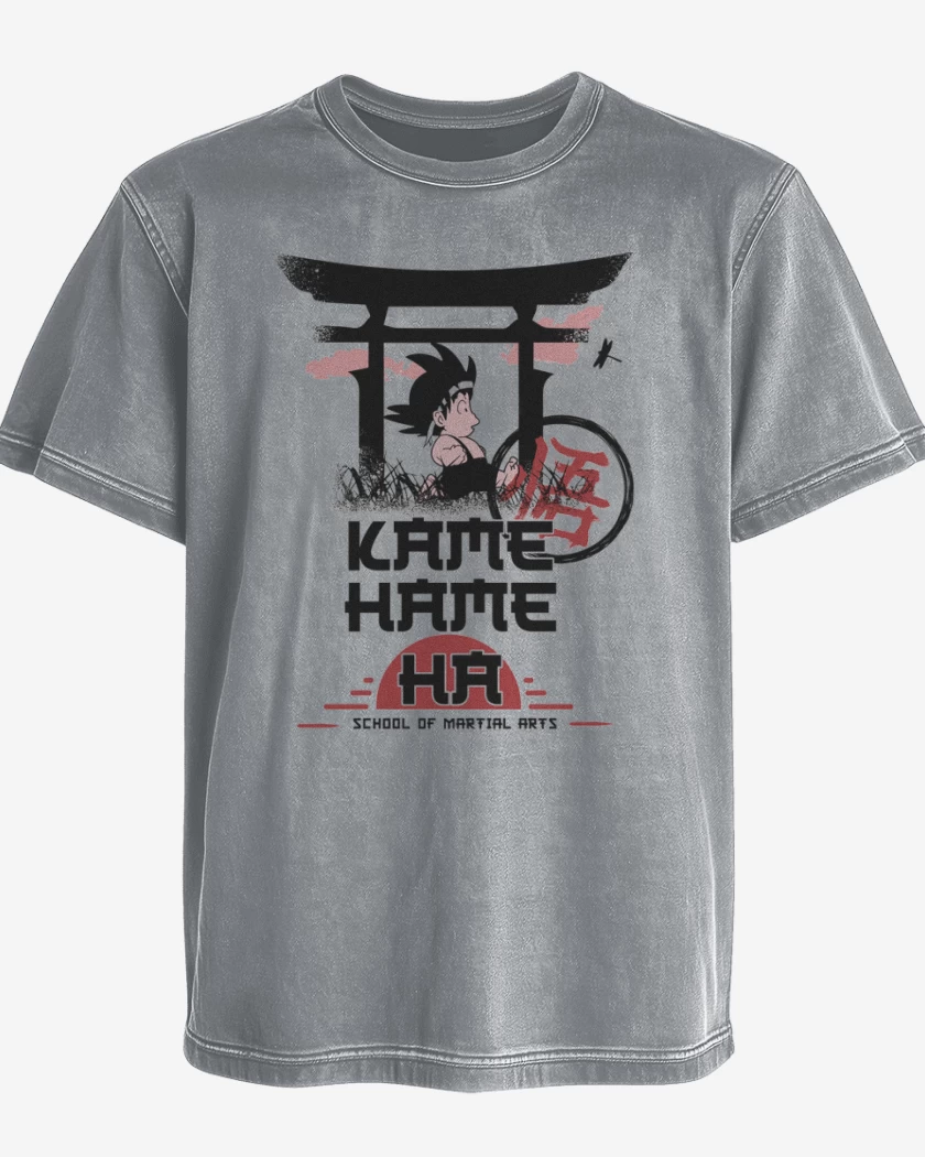 Polera desgastada Escuela de artes marciales