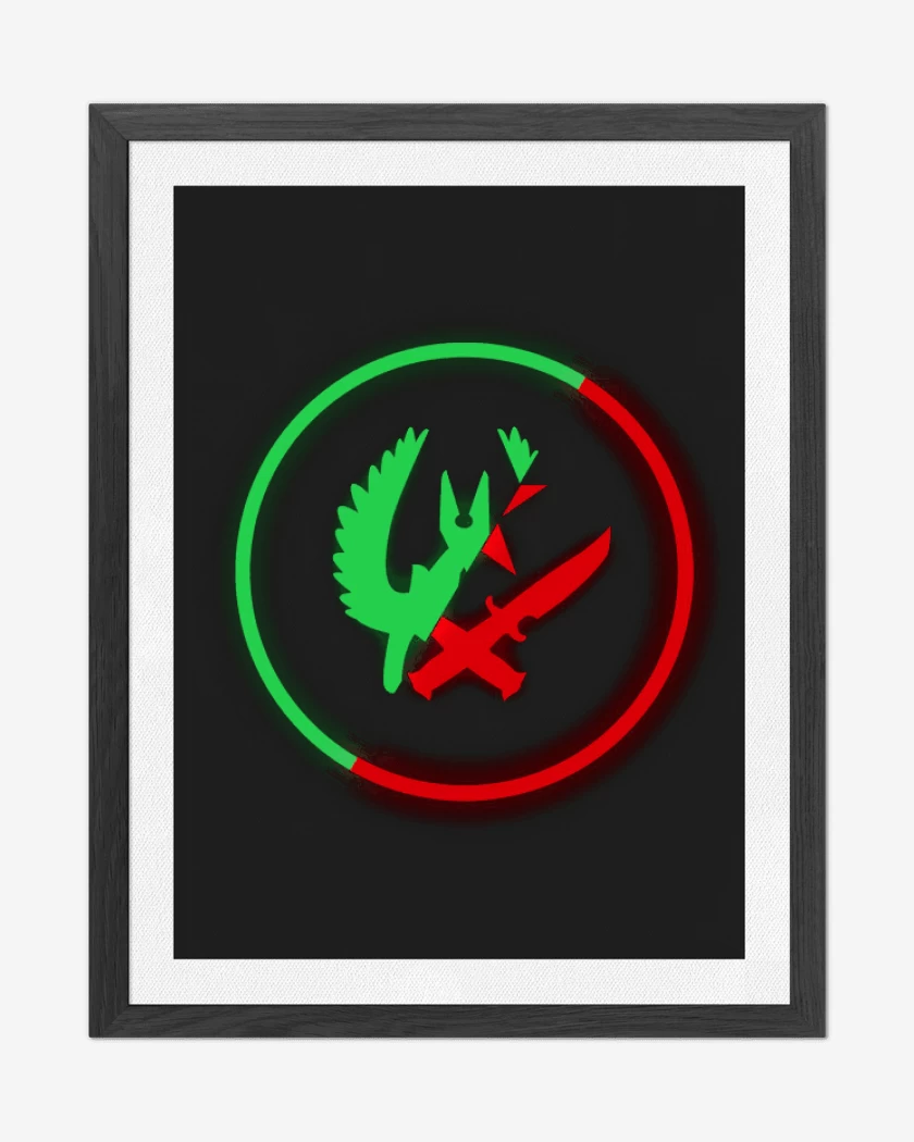 Cuadro decorativo Cs Go