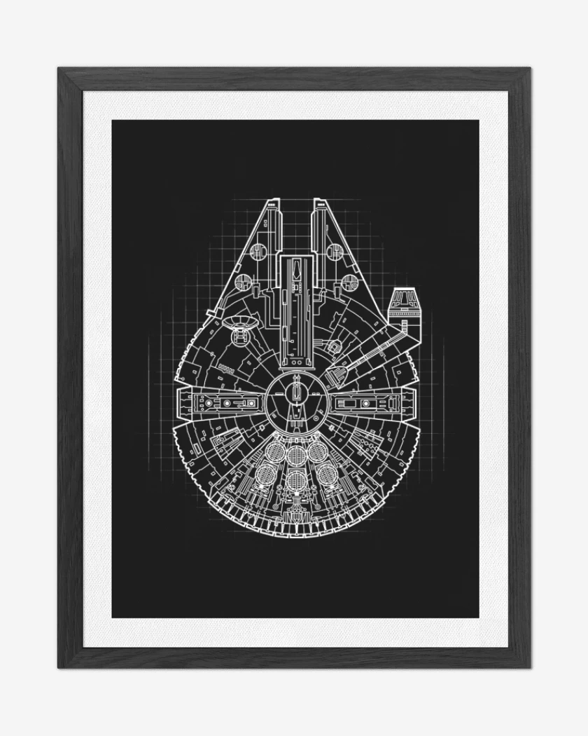 Cuadro decorativo Halcon