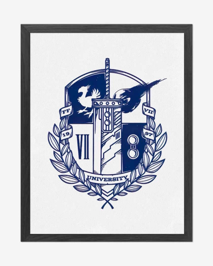 Cuadro decorativo Final fantasy university