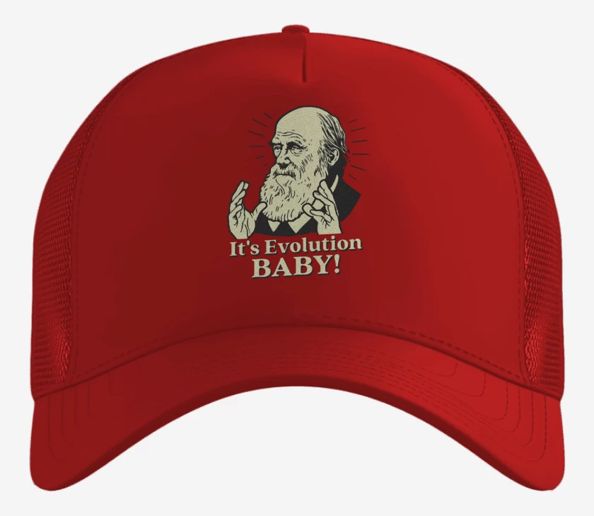 Gorro Its evolution baby