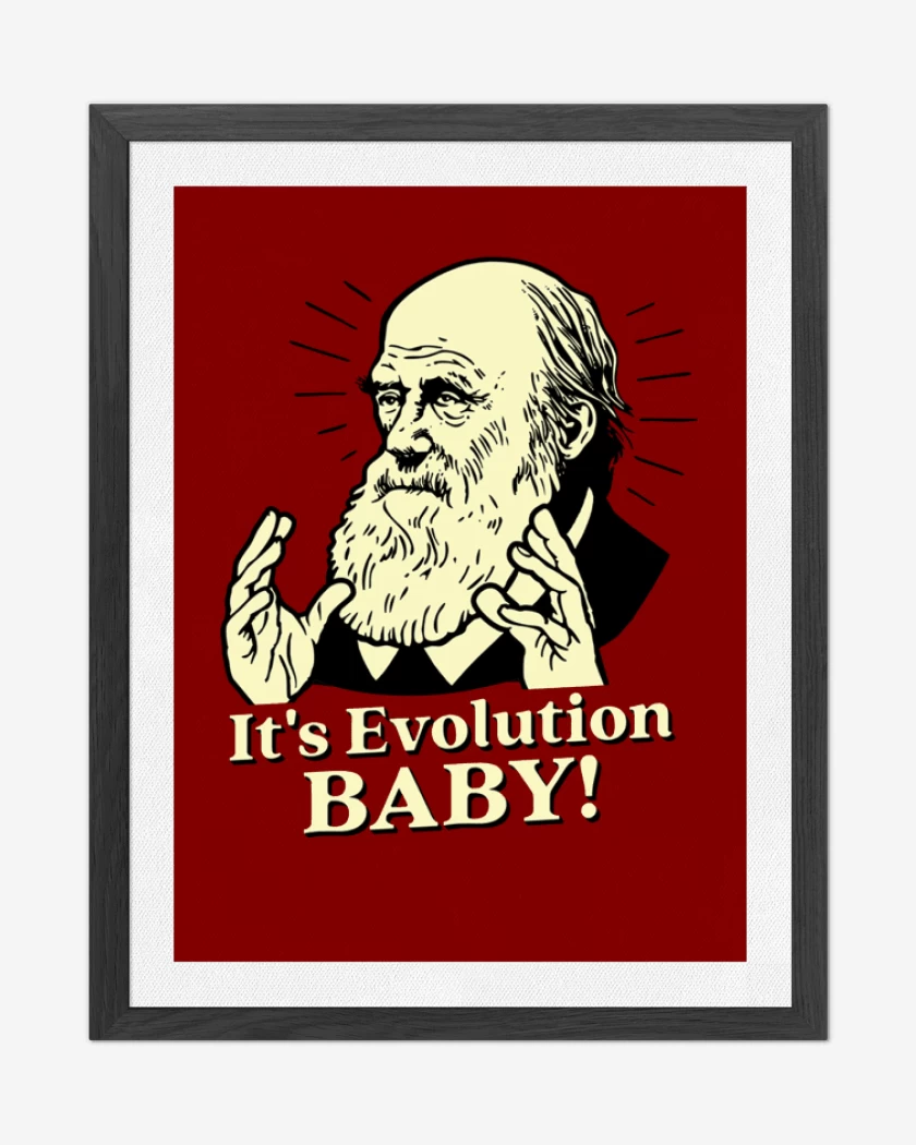 Cuadro decorativo Its evolution baby