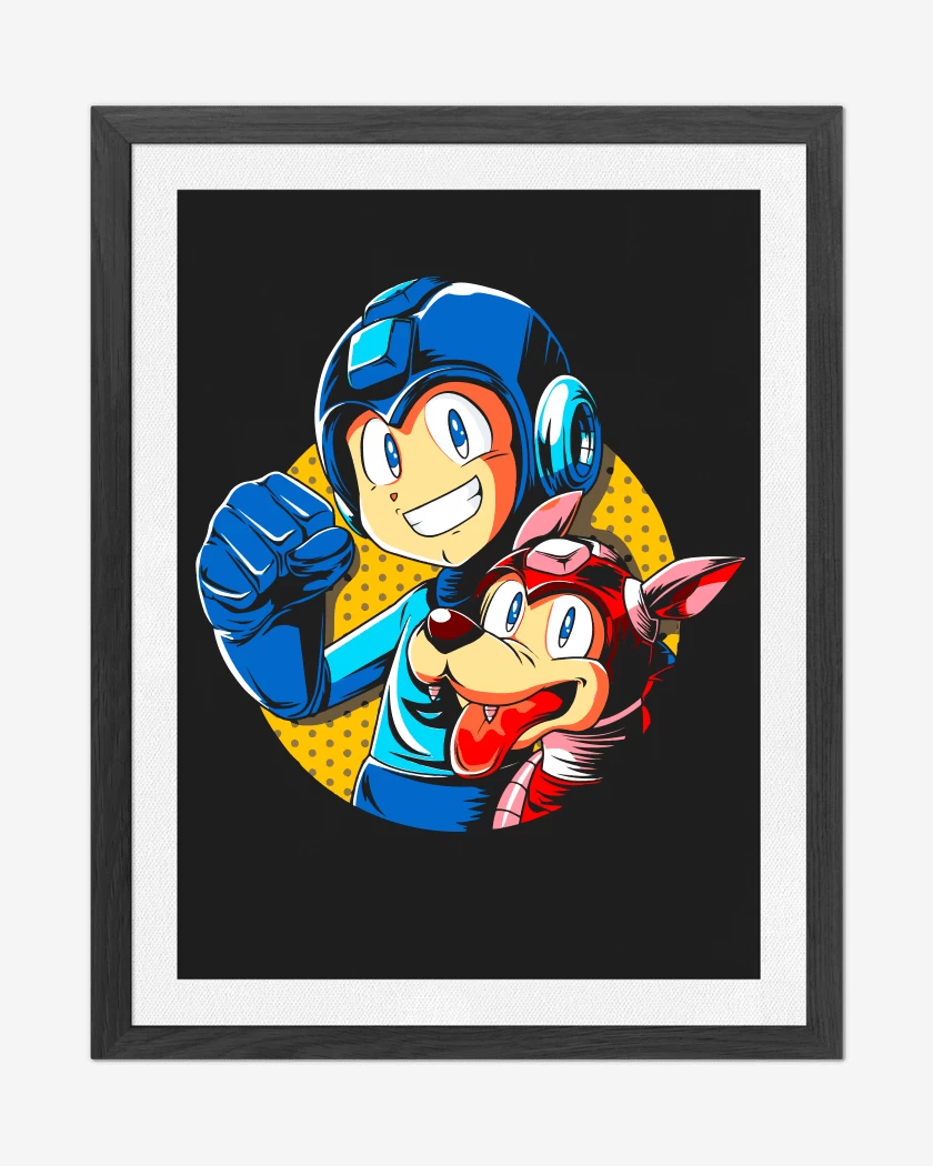 Cuadro decorativo Megaman y rush