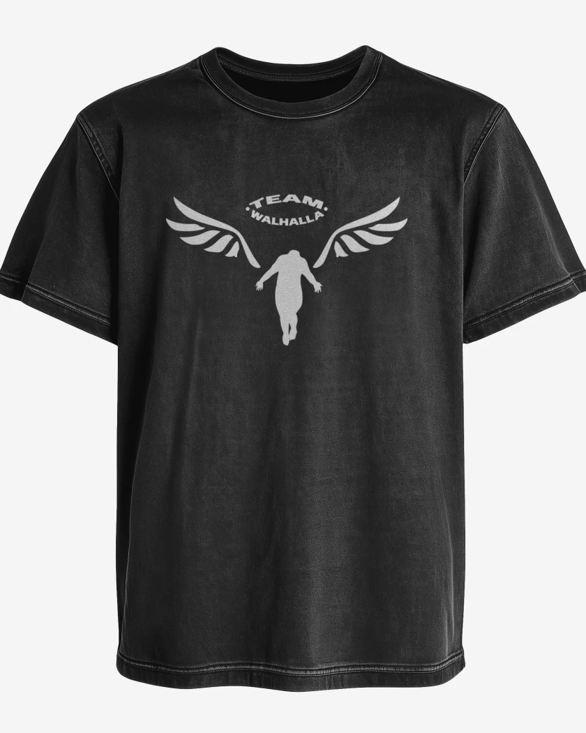 Polera desgastada Team Walhalla