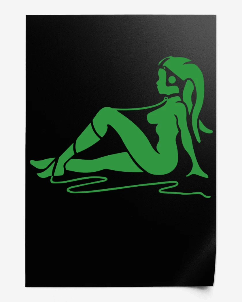Print Negro de Twilek mudflap