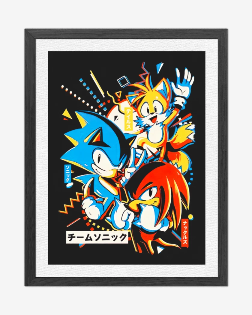 Cuadro decorativo Sonic and friends