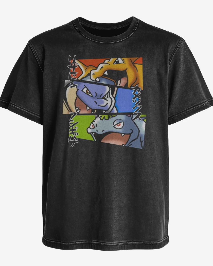 Polera desgastada Kanto Evolutions