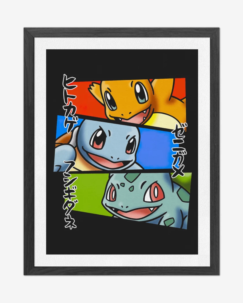 Cuadro decorativo Negro de Starters Kanto