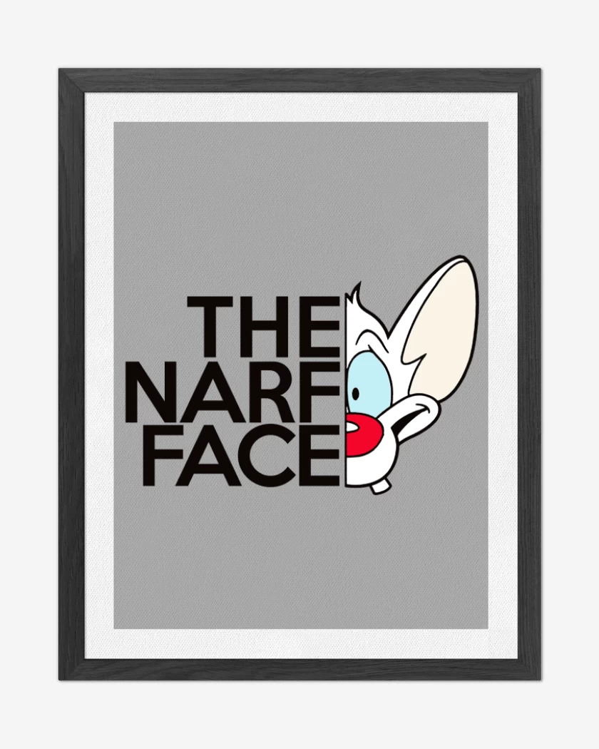 Cuadro decorativo The narf face 