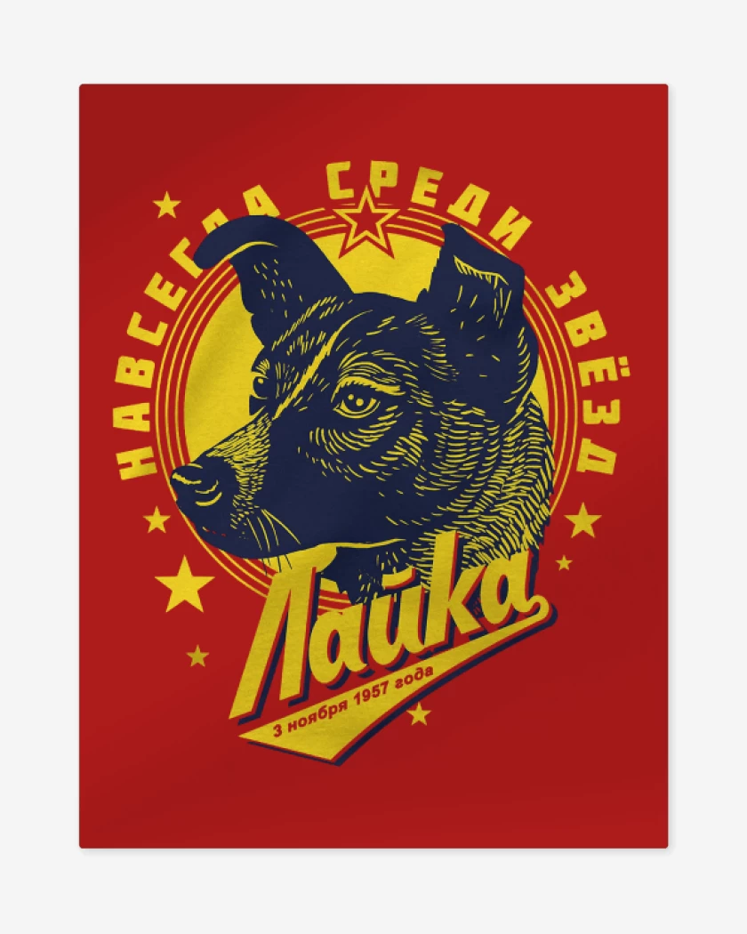 Print metalico Rojo de Laika