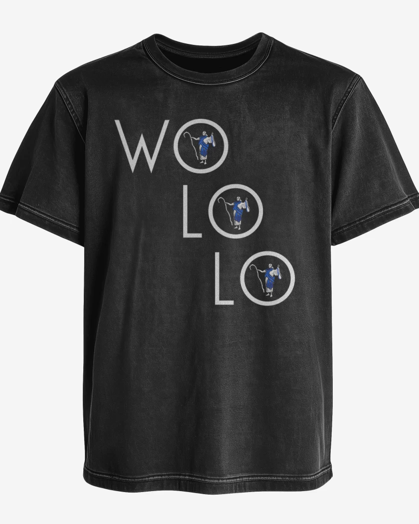 Polera desgastada Wo lo lo