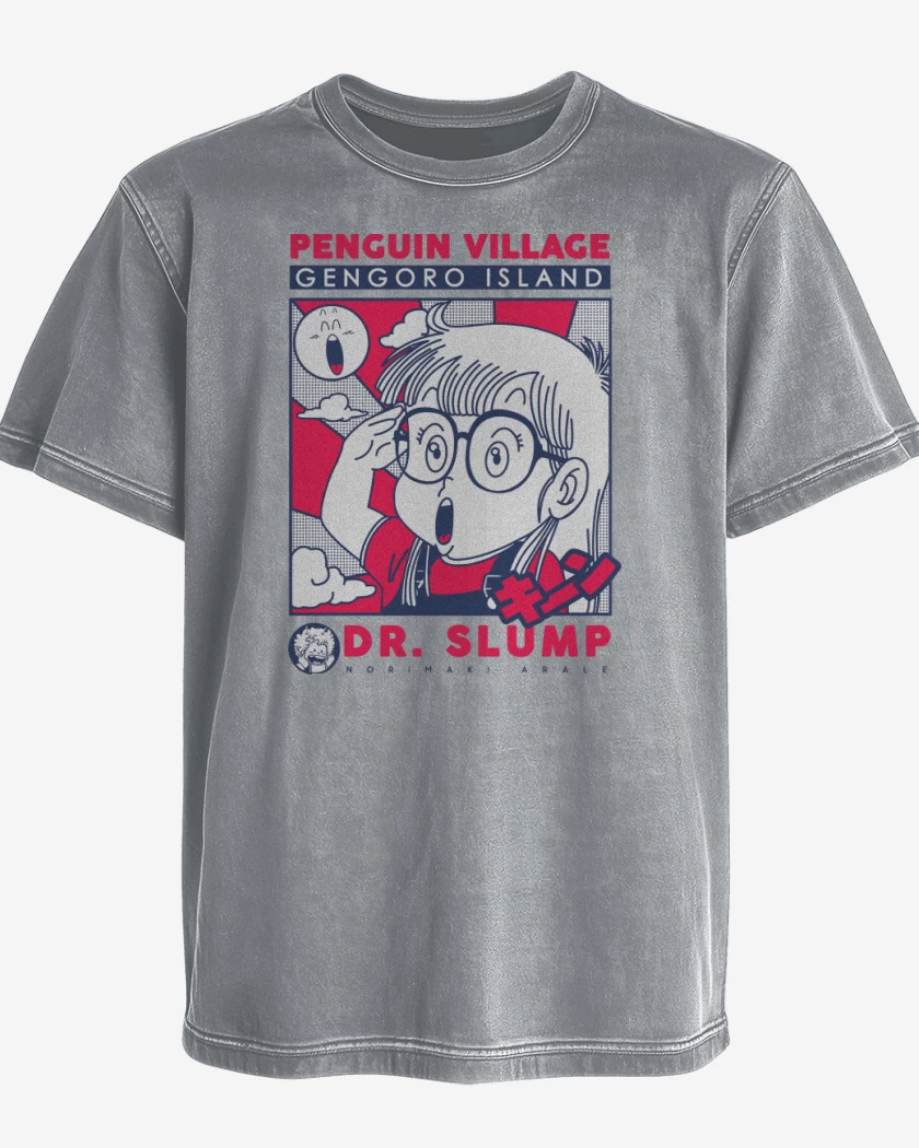 Polera desgastada Villa Pinguino