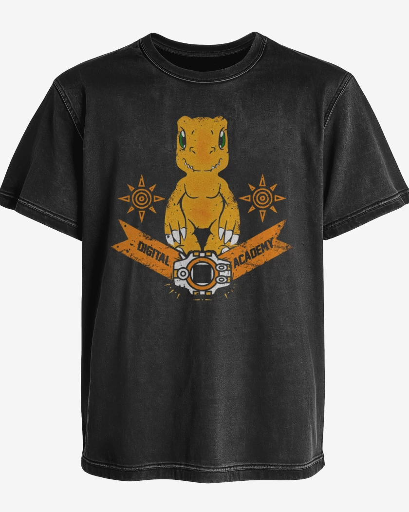 Polera desgastada Agumon nro 2