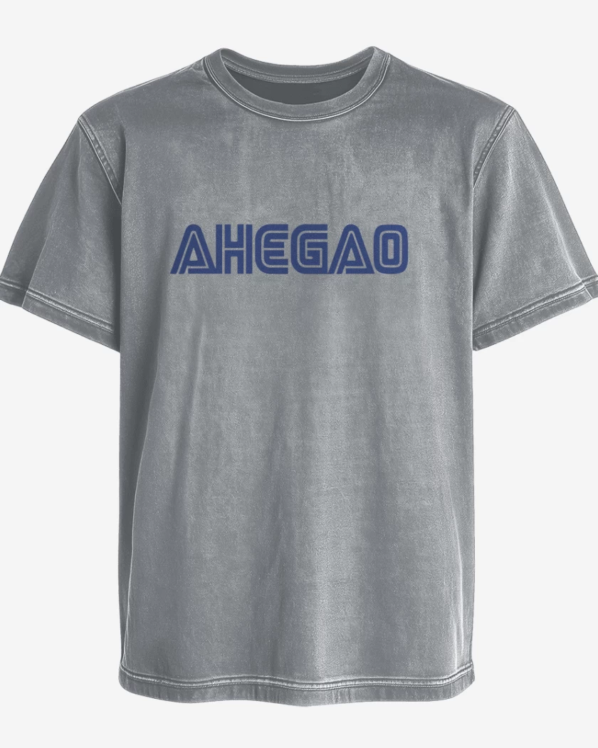 Polera desgastada Gris Melange de Segahegao
