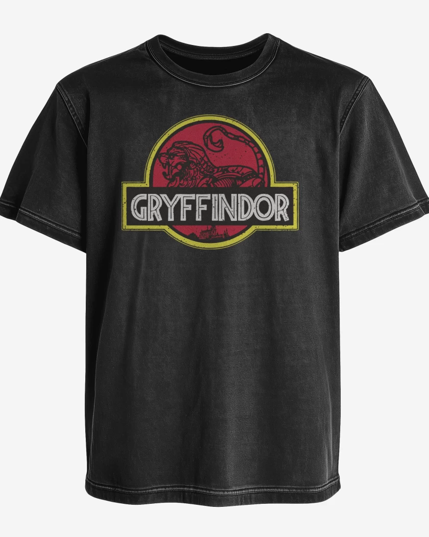 Polera desgastada Gryffindor Park