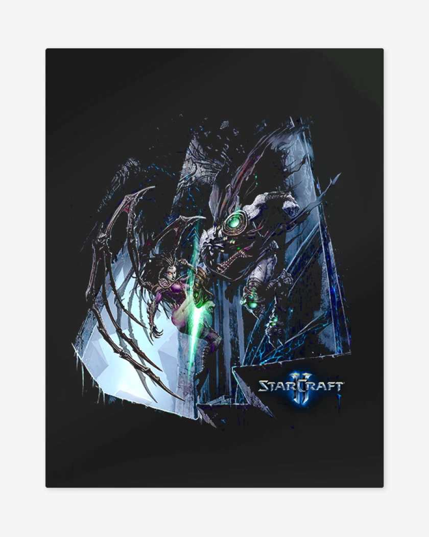Print metalico Negro de Sc 2