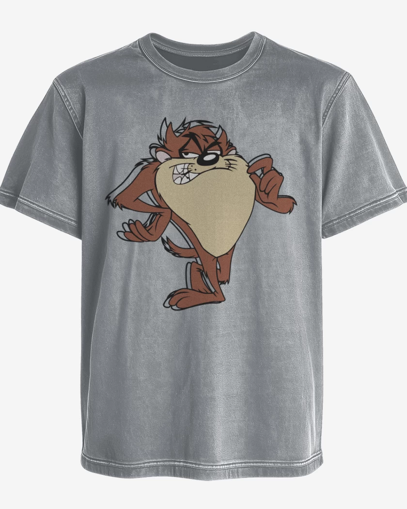 Polera desgastada Gris Melange de Taaz