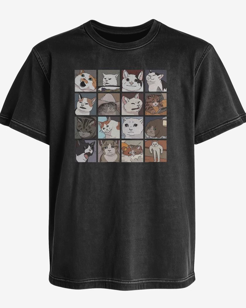 Polera desgastada Gatos memes