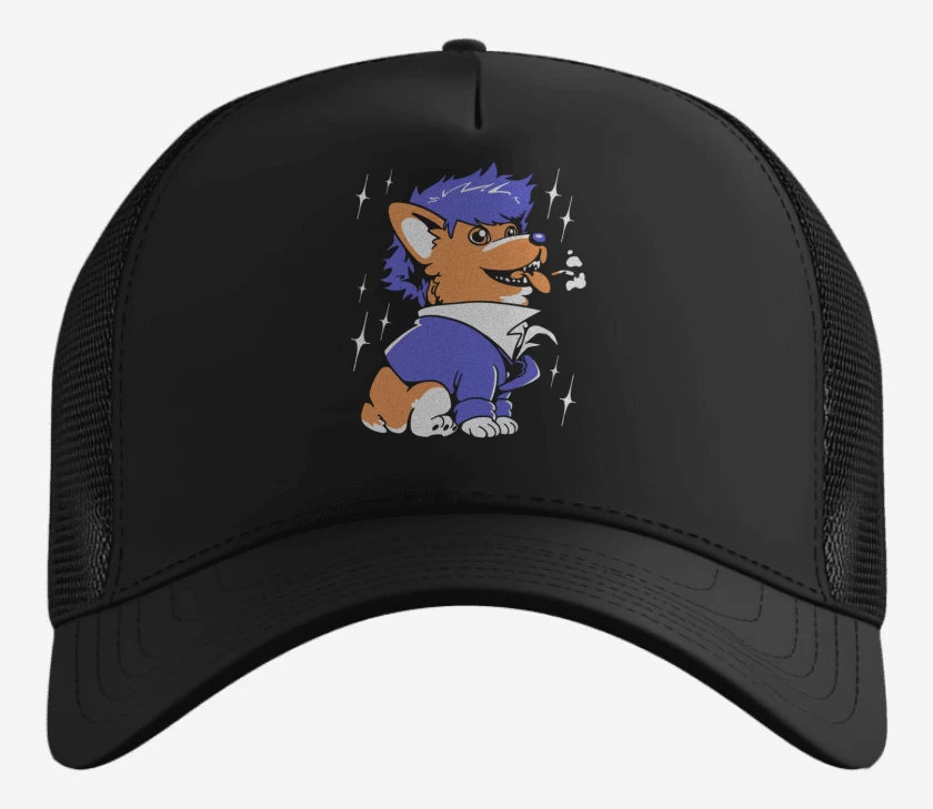 Gorro Negro de Space Corgiboy
