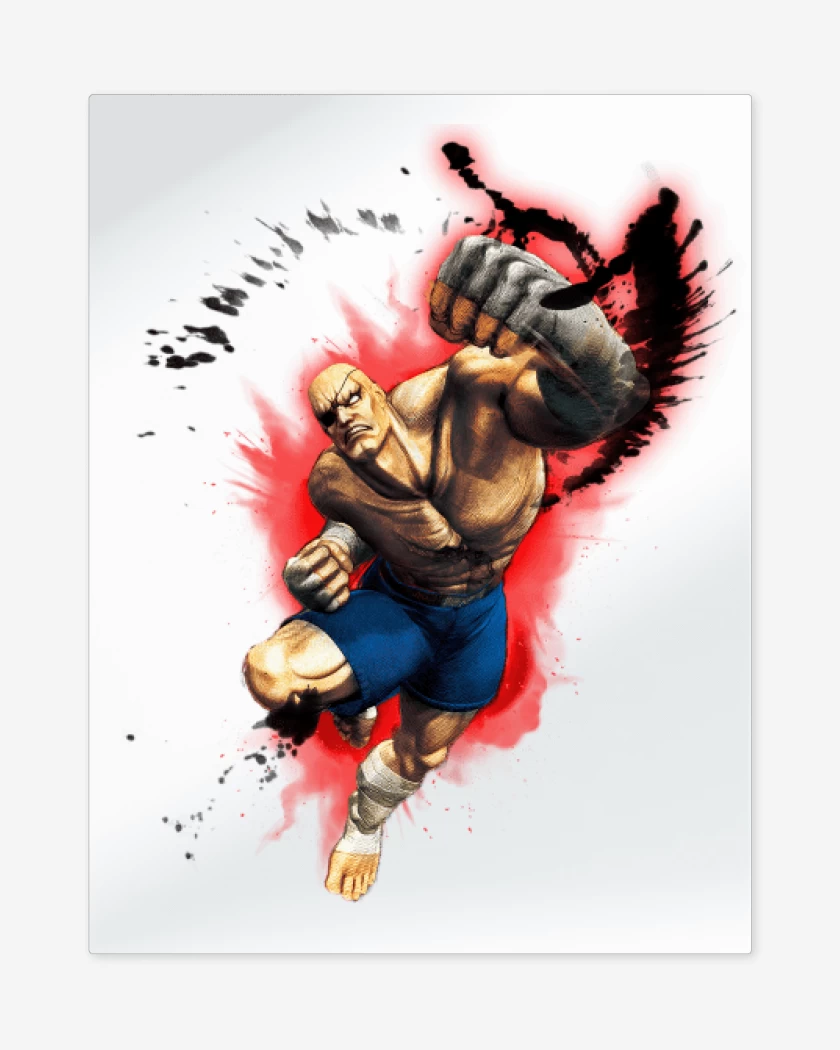 Print metalico Blanco de Sagat 2