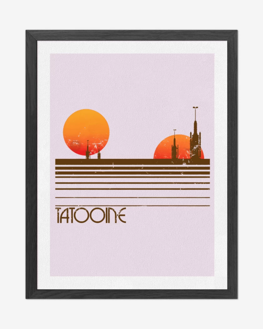Cuadro decorativo Rosa Pastel de Tatooine 
