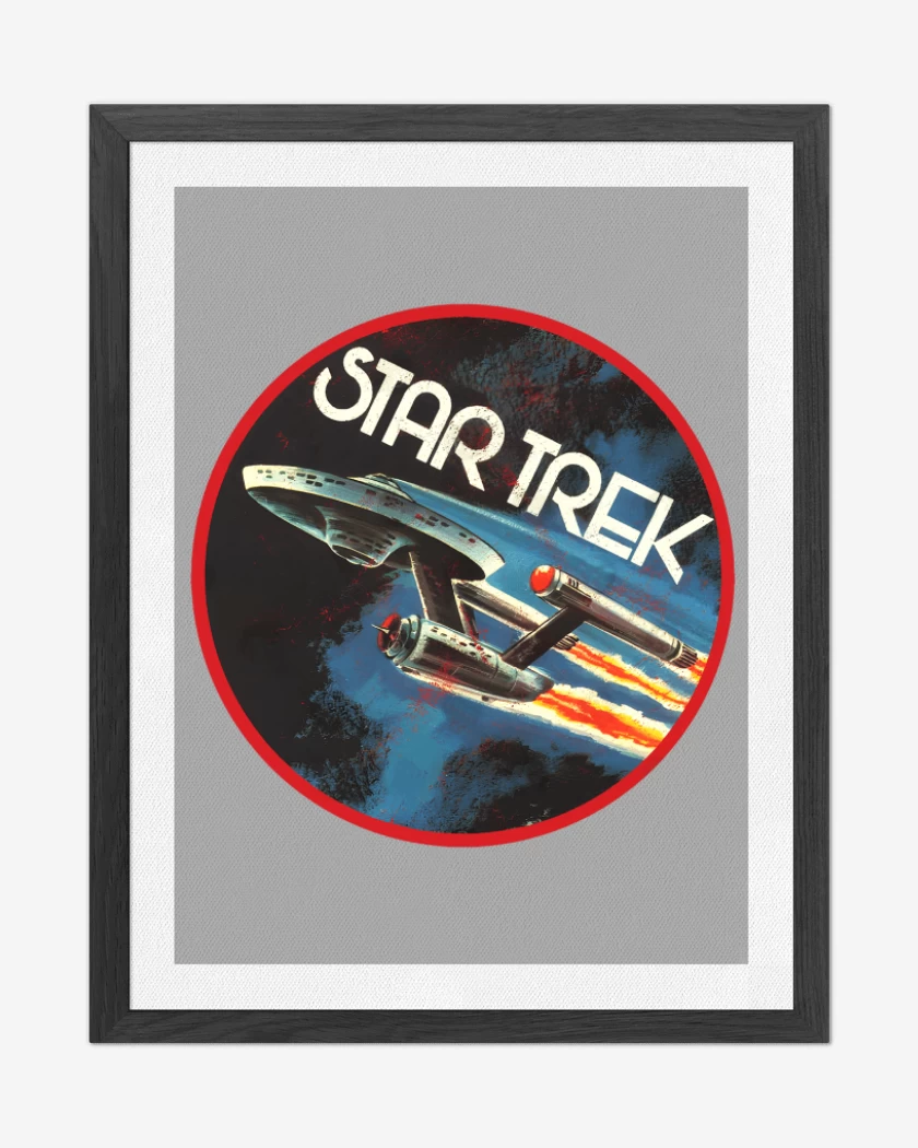 Cuadro decorativo Gris Melange de Star trek enterprise