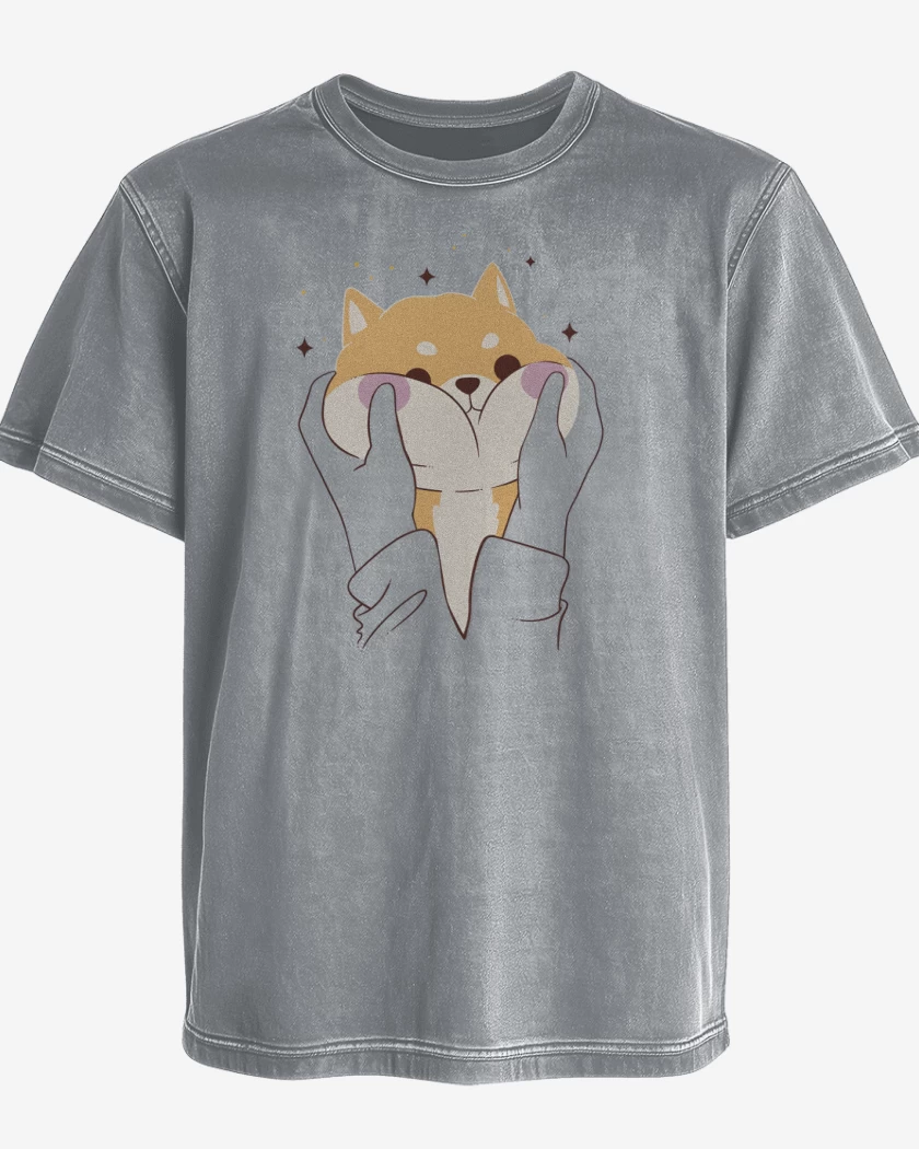 Polera desgastada Regalón