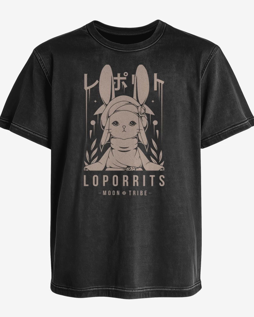 Polera desgastada Loporrits