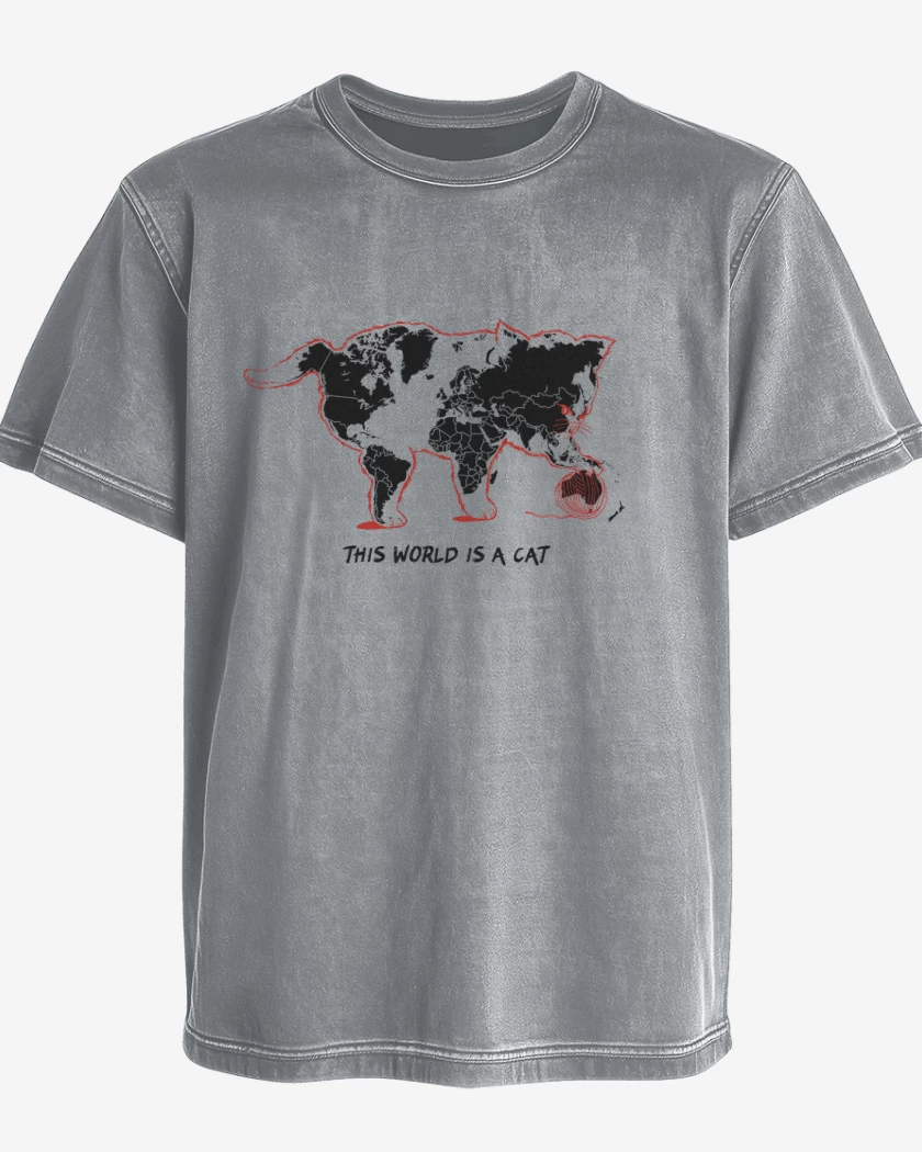Polera desgastada El Mundo es un Gato