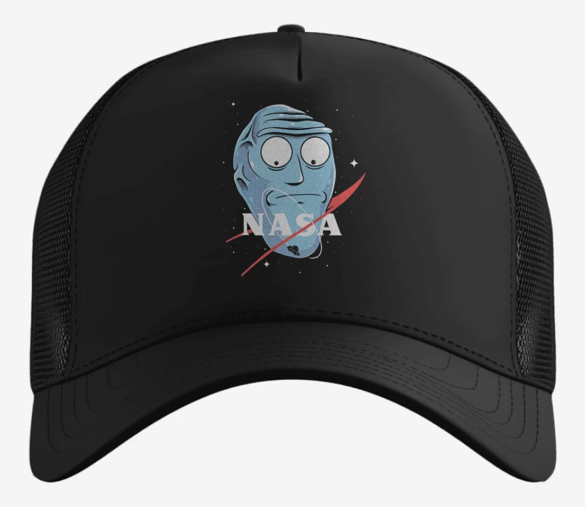 Gorro Rick NASAnchez