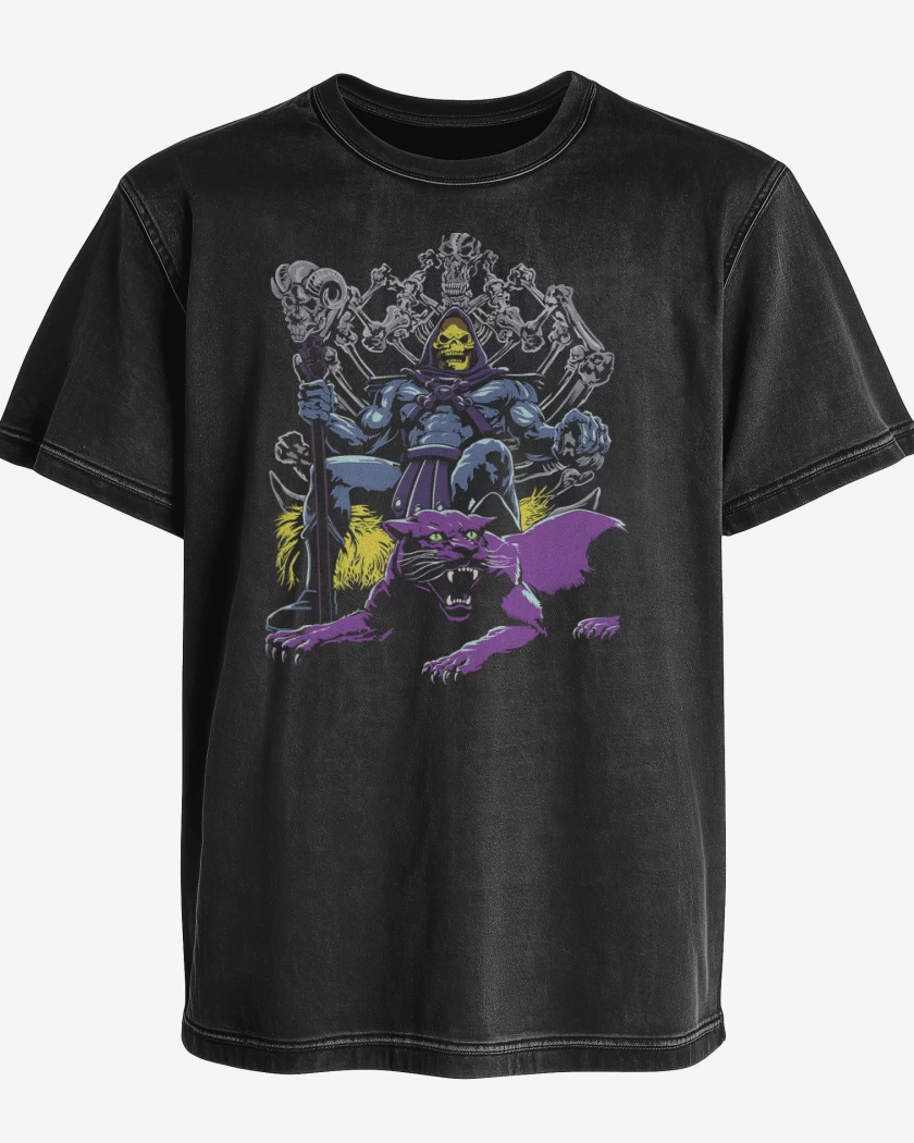 Polera desgastada Lord Skeletor