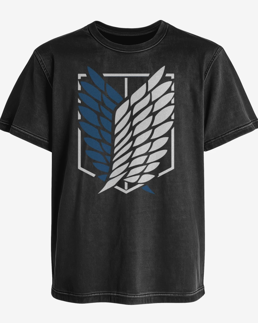 Polera desgastada Liberty