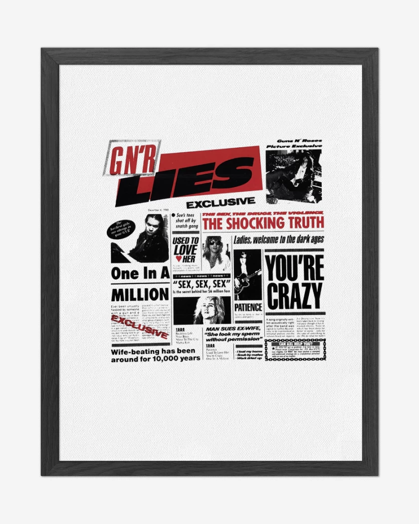 Cuadro decorativo Guns n Roses LIes 