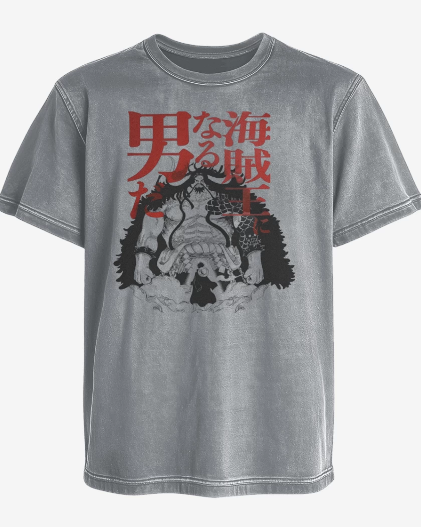 Polera desgastada Kaido vs Luffy