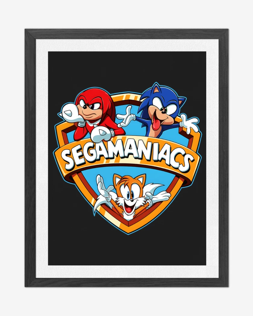 Cuadro decorativo Segamaniacs