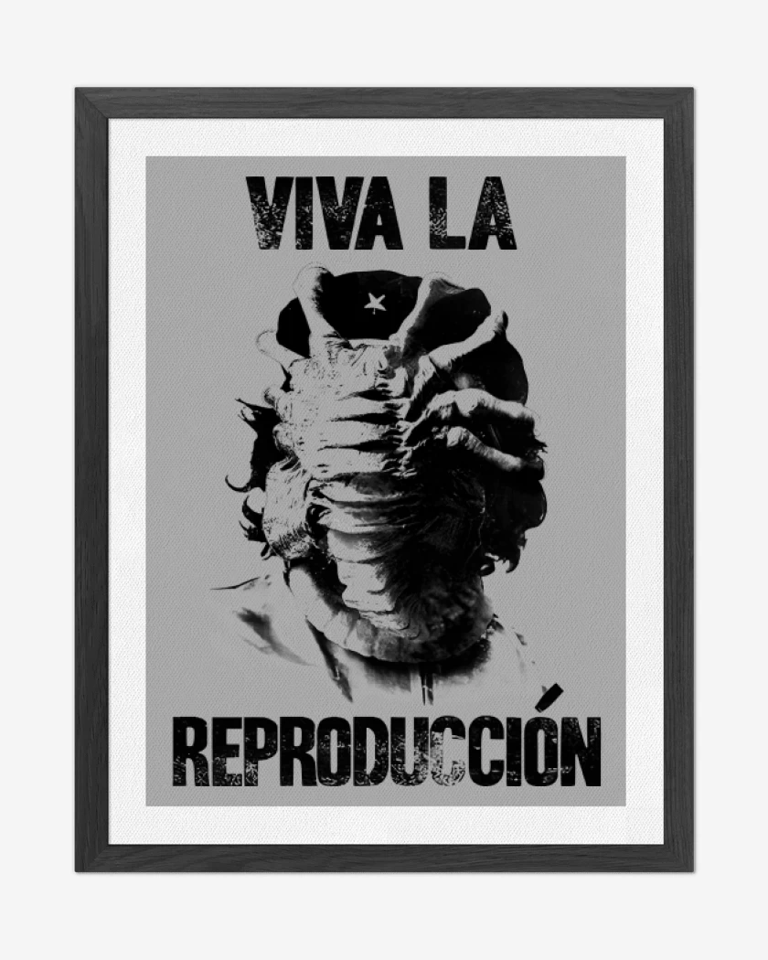 Cuadro decorativo Viva la Reproducción