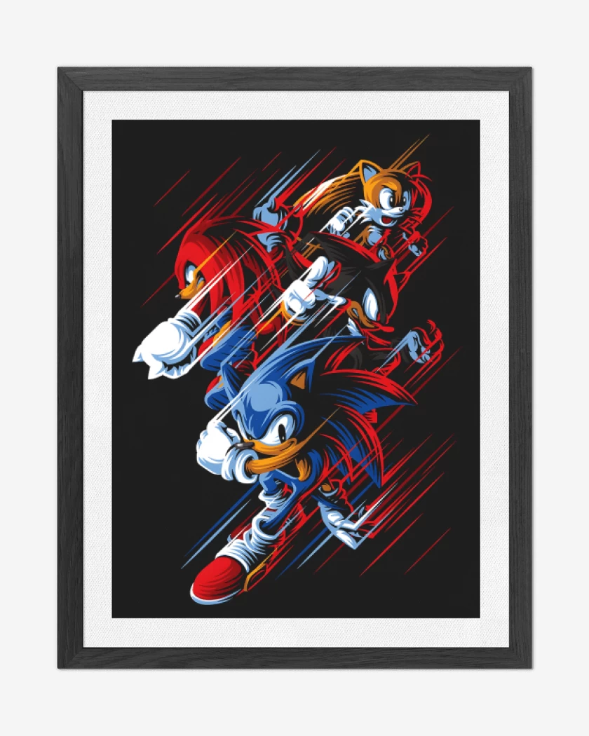 Cuadro decorativo Negro de Sonic Fast