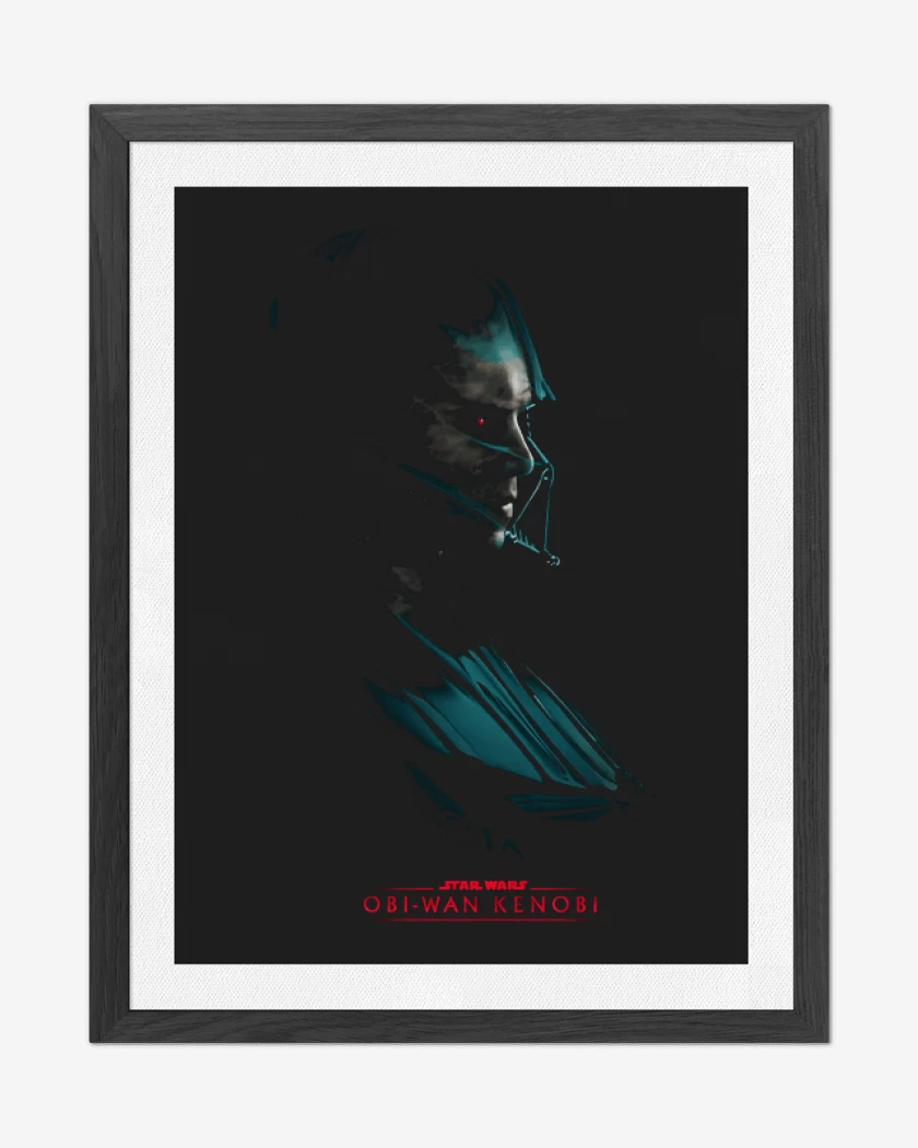 Cuadro decorativo Negro de Vader 3