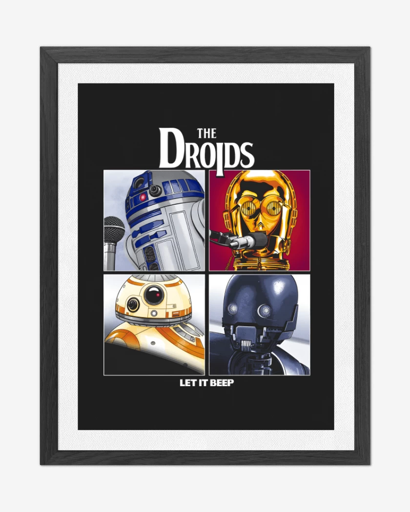 Cuadro decorativo The Droids II