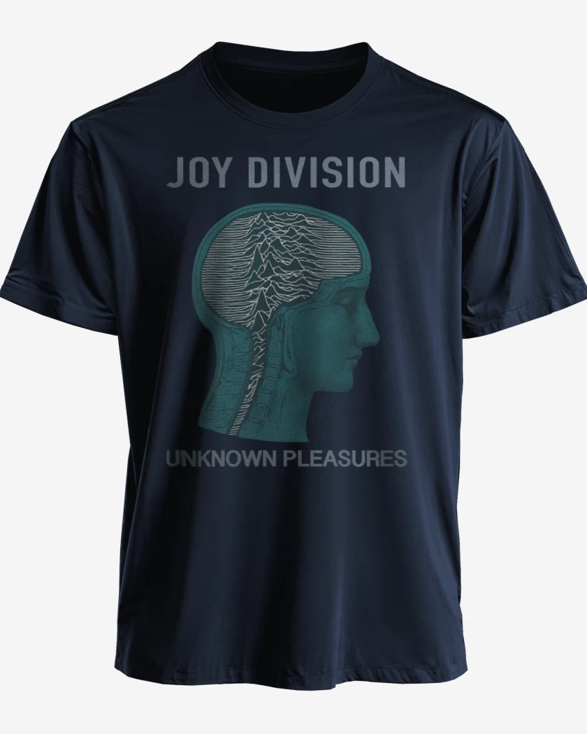 Polera Joy Division unknown pleasures