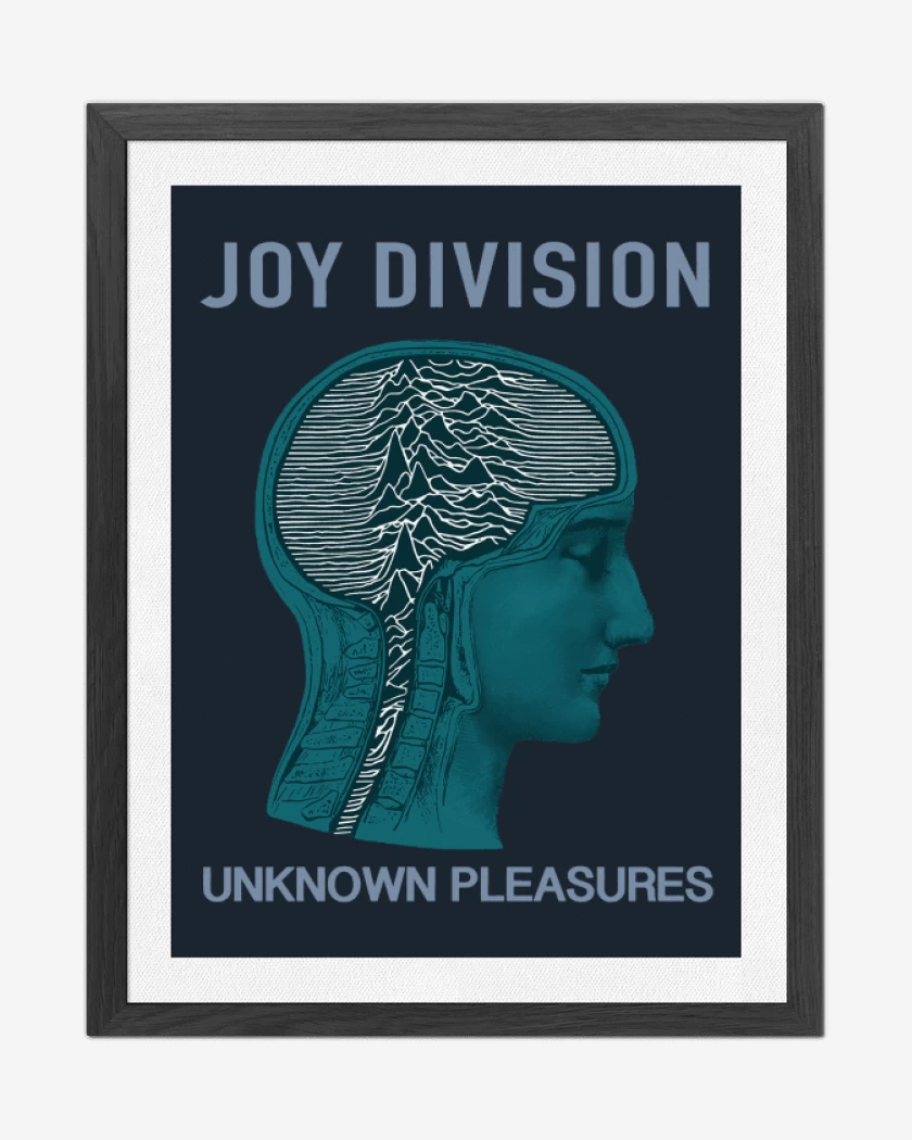 Cuadro decorativo Azul Marino de Joy Division unknown pleasures